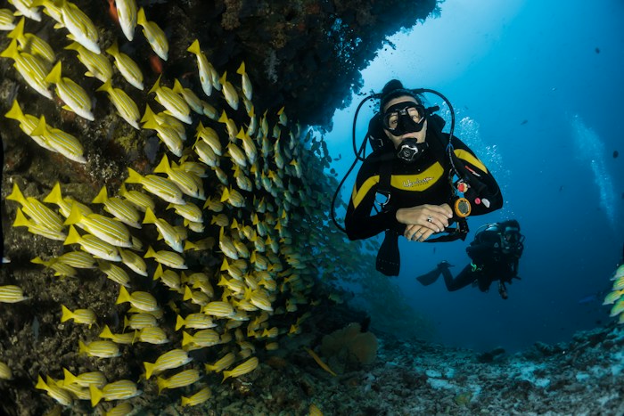 Suasana resor tepi laut